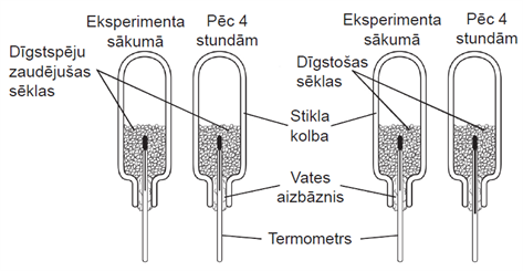 seeklas.png