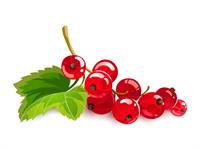 shutterstock_213793729.jpg