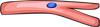 YCUZD_230908_5535_koijots_1.png
