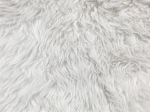 Shutterstock_158394731_fur texture_vilnas tekstūra.jpg