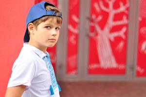 schoolboy-2340803_960_720.jpg