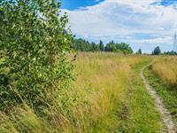 shutterstock_701963839.jpg