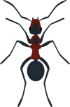 6.png