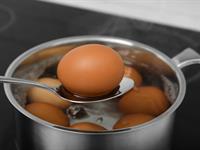Shutterstock_2173496463_boiled egg_vārīta ola.jpg