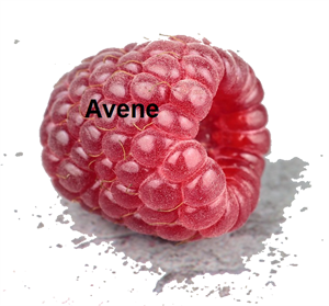 avene.PNG
