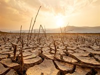shutterstock_2264793013_drought_sausums.jpg