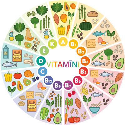 YCUZD_240522_6302_vitamīni.png