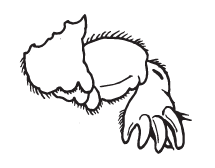 77.png
