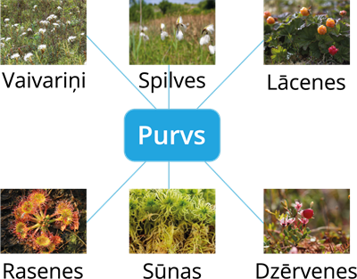 YCUZD_250724_7453_purvs.png