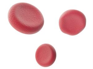 Shutterstock_447064426_blood cells_asinsķermenīši.jpg