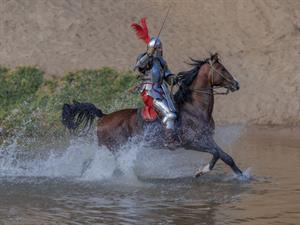 Shutterstock_1757570546_knight on a horse_bruņinieks uz zirga.jpg