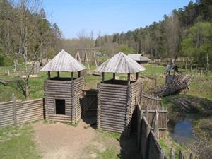 image-13259.jpg