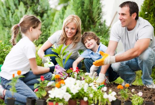 Family-Gardening.jpg