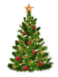 Shutterstock_2055476792_christmas tree_ziemassvētku egle.jpg
