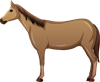 YCUZD_230908_5535_zirgs_5.png