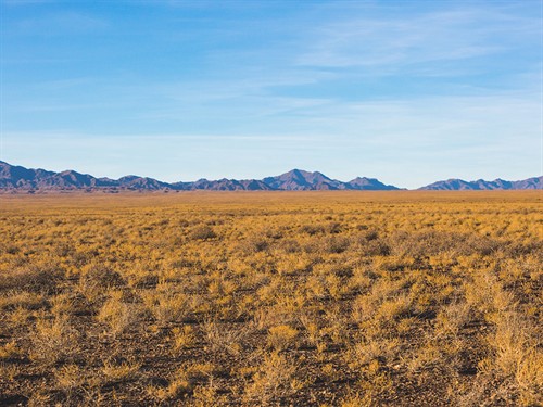 shutterstock_2241972495_Kazakhstan steppe_Kazahstānas stepes.jpg