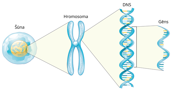 YCUZD_250328_7179_bio_4.png
