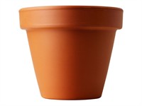 Shutterstock_102442264_flower pot_puķu pods.jpg