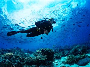 shutterstock_654264571_diving_niršana.jpg