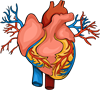 YCUZD_230908_5535_koijots_3.png