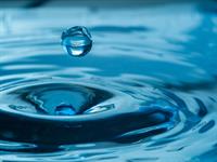 Shutterstock_793184827_water_ūdens.jpg