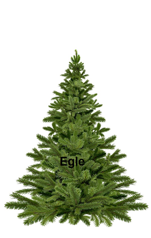 eglllle.PNG