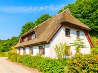 Shutterstock_1284146731_village house_lauku māja.jpg