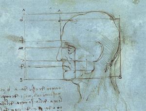 Proportions_of_the_Head.jpg