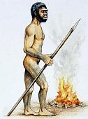 homoerectus.jpg