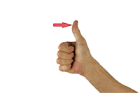 thumb2.png