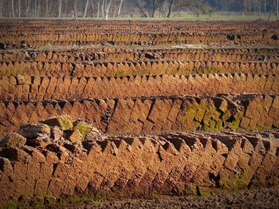 peat-gb465247a2_1280.jpg