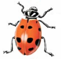 maa3.png