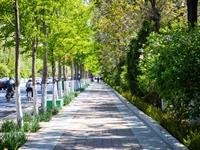 Shutterstock_2154052543_city sidewalk_pilsētas trotuārs.jpg
