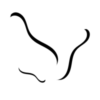 INESE_241228_līnija_12.png