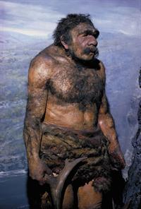 model-Neanderthal.jpg