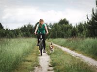 Shutterstock_2145509773_woman on bicycle with dog_sieviete uz velosipēda ar suni.jpg