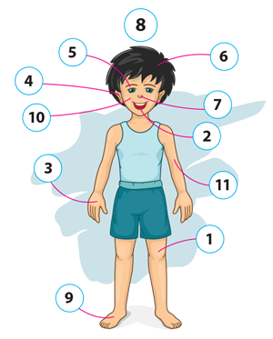 body cipari3.png