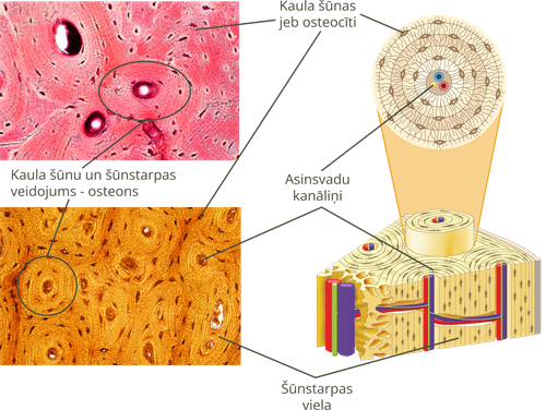 YCUZD_250422_7160_24.png