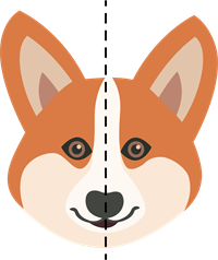 Suns_1.png