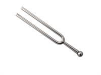 Shutterstock_117746023_tuning fork_toņdakša.jpg