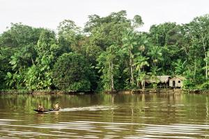 Casaamazonica.jpg