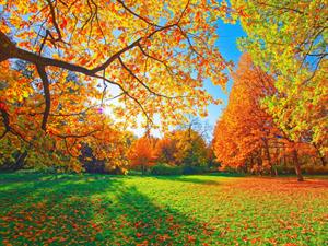 Shutterstock_2198009967_autumn_rudens.jpg