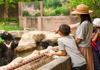 zoo_shutterstock_1390372118.jpg