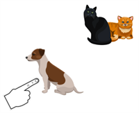dog and cats.png