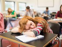 Shutterstock_160640804_sleeping_gulēt.jpg