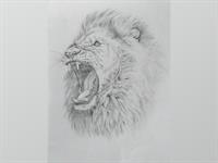 Shutterstock_2384008907_Pencil_sketch_of_lion_Lauvas_skice_ar_zīmuli.jpg