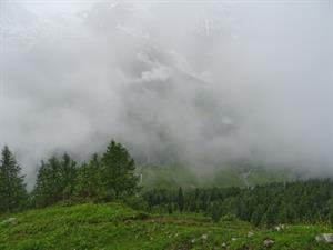 Shutterstock_1616368753_fog_migla.jpg