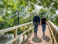 Shutterstock_1160233543_couple walking over bridge_pāris iet pāri tiltam.jpg