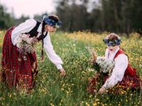 Shutterstock_2138290055_gathering flowers_vāc jāņuzāles.jpg