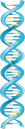 YCUZD_230929_5601_DNA_5.png